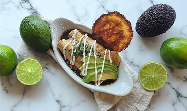 Birria enchiladas